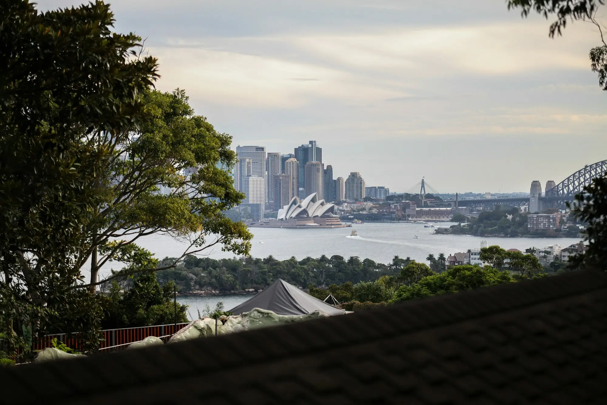 View across Sydney Harbour to the Opera House and city skyline through trees, a reminder that business lending can be arranged by phone from any city